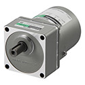AC Gear Motors